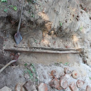 IMG 6290 web