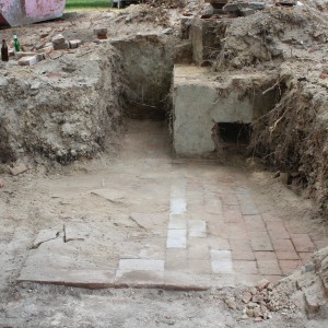 IMG 6491 web